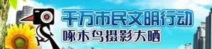 南充在线